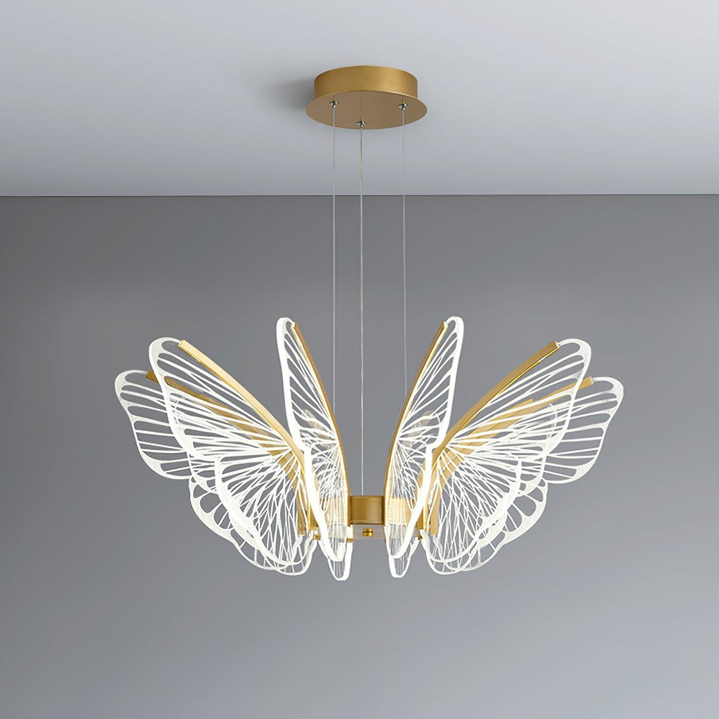 phalaenopsis-chandelier-anzaz--14