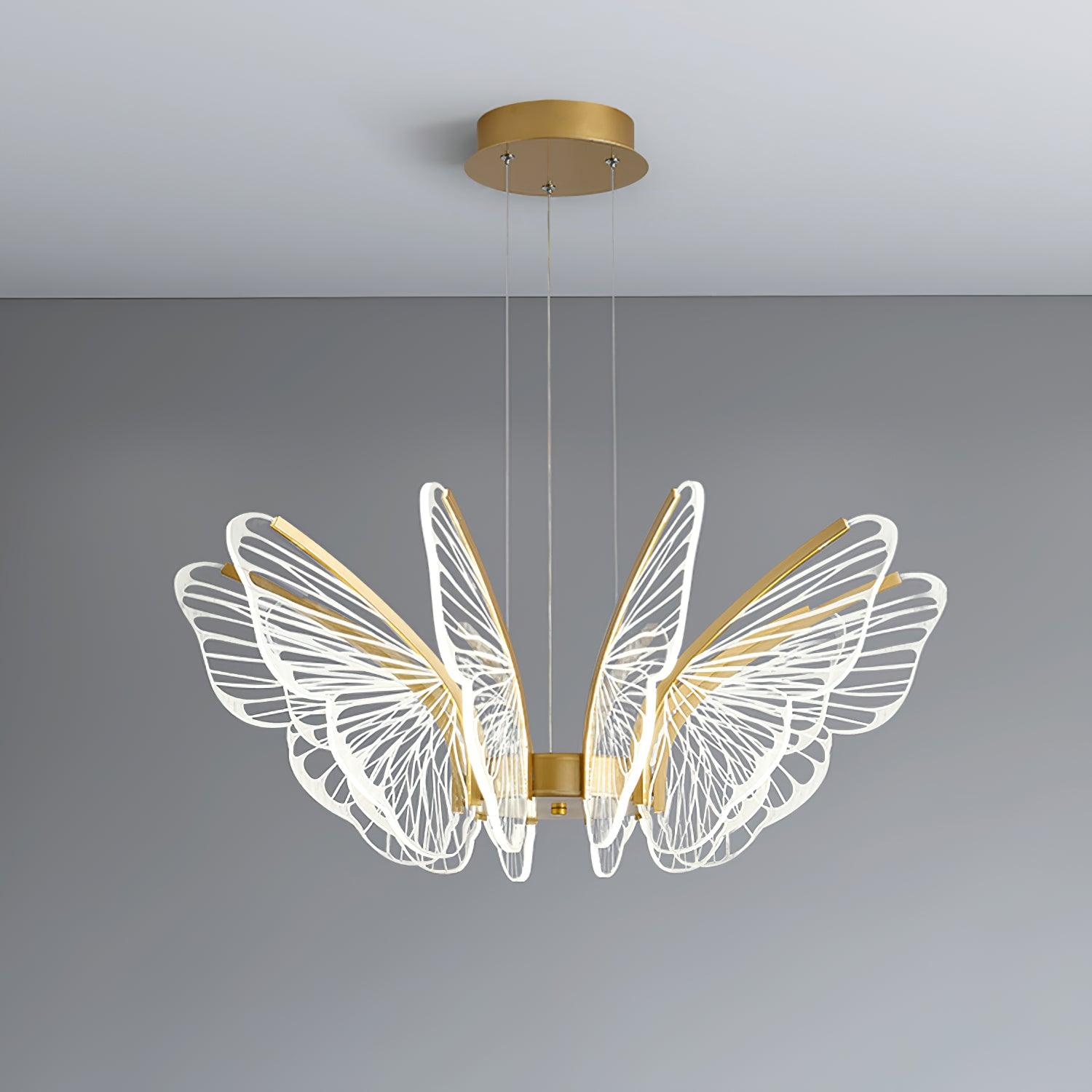 phalaenopsis-chandelier-anzaz--14