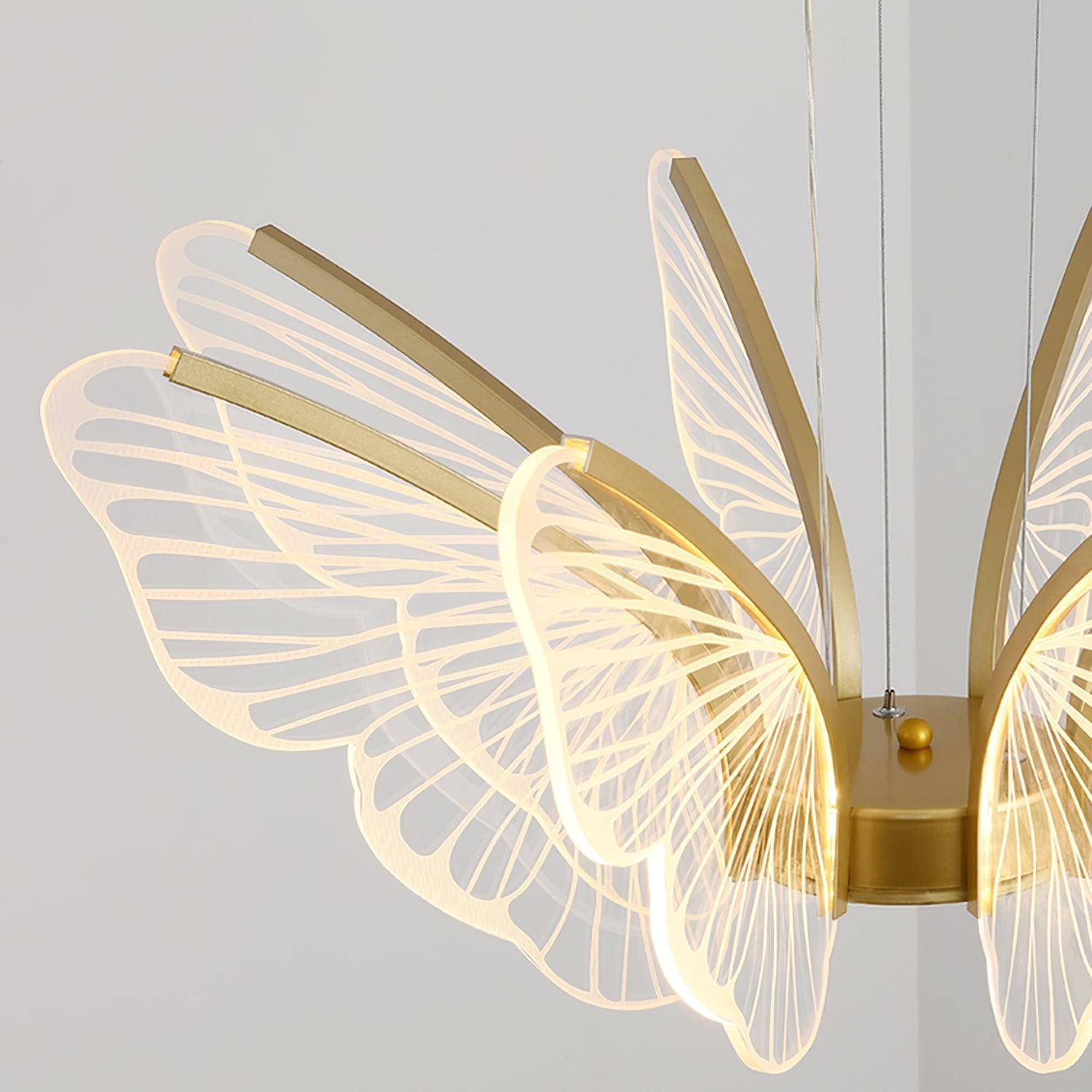 phalaenopsis-chandelier-anzaz--21