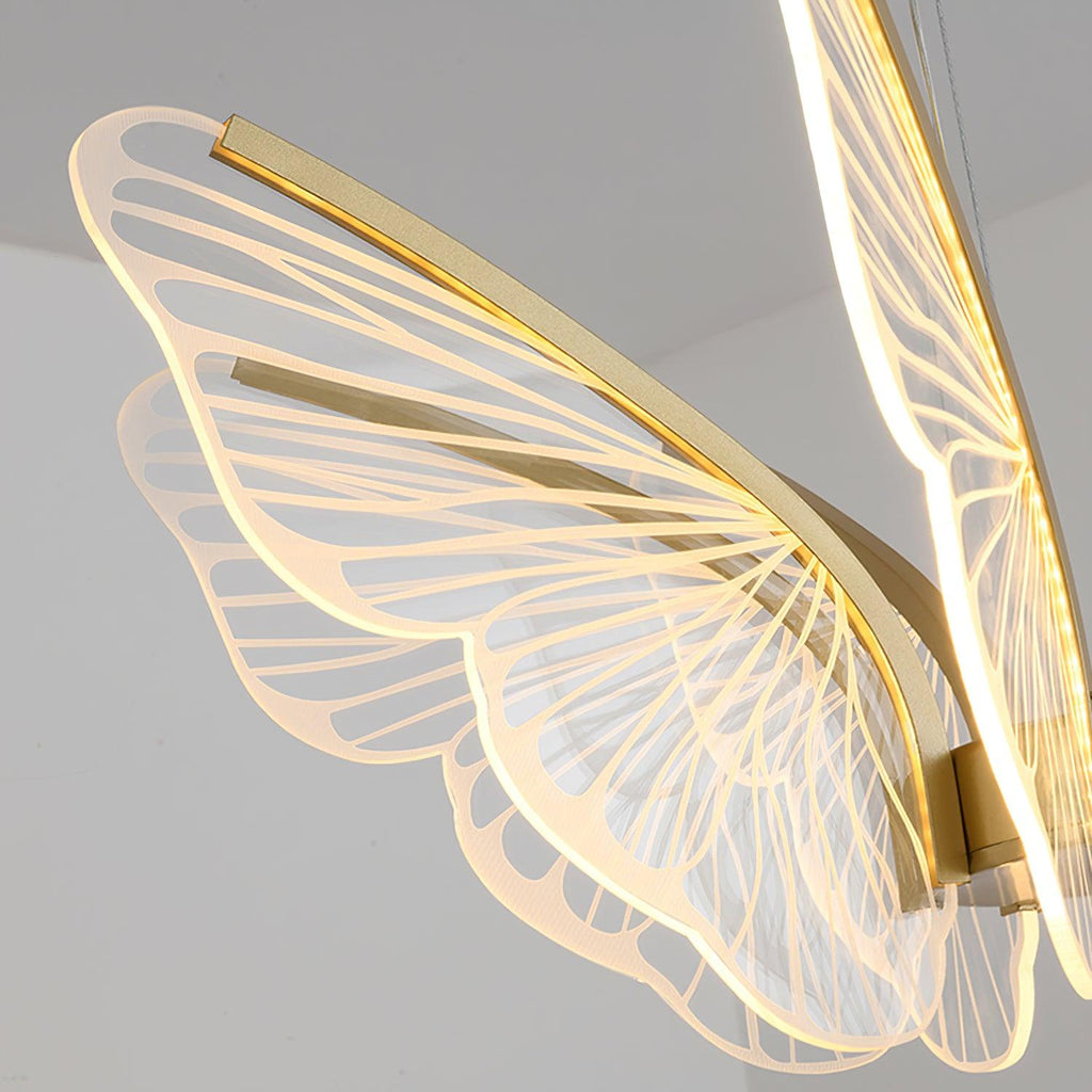 phalaenopsis-chandelier-anzaz--20