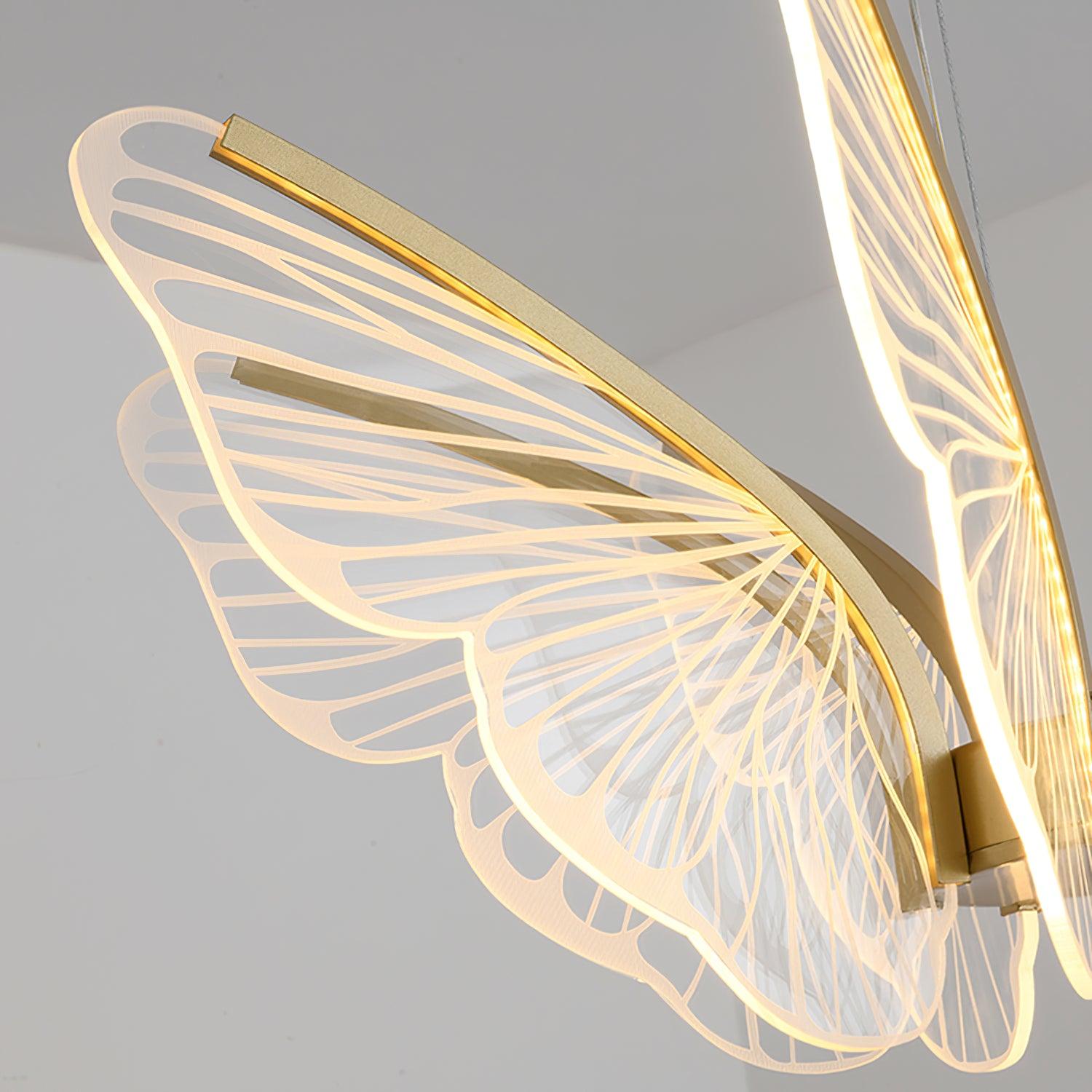 phalaenopsis-chandelier-anzaz--20