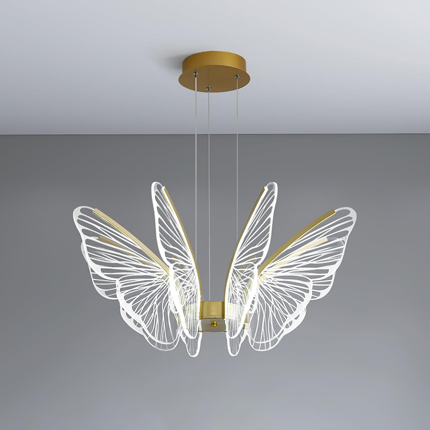phalaenopsis-chandelier-anzaz--24
