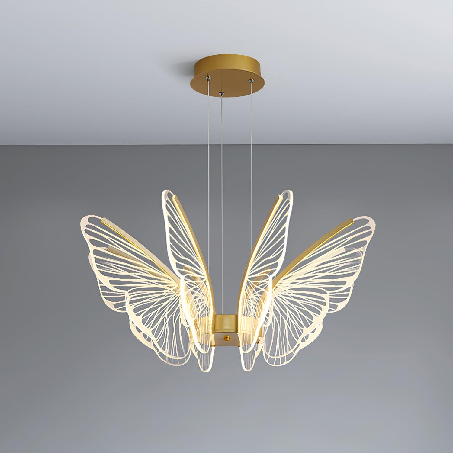 phalaenopsis-chandelier-anzaz--25