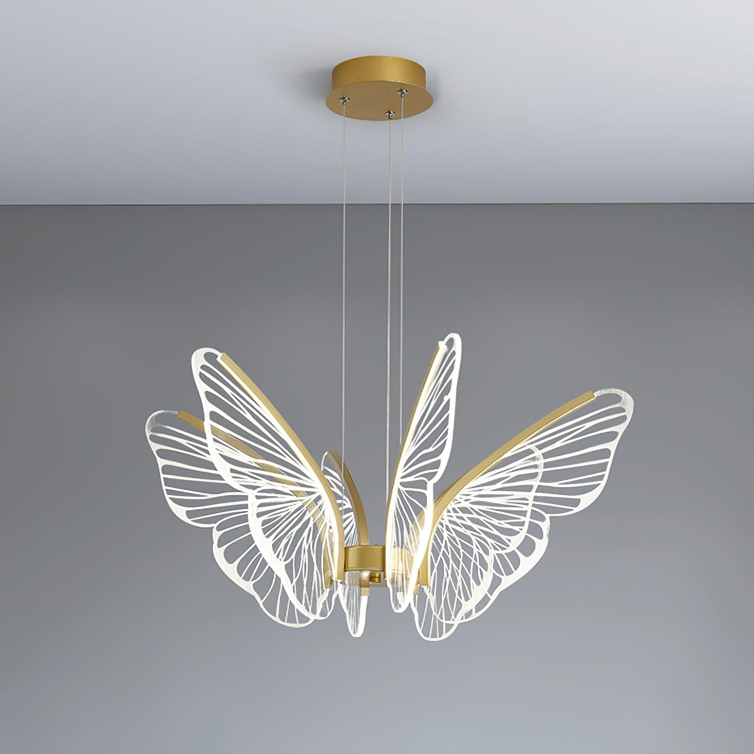 phalaenopsis-chandelier-anzaz--28