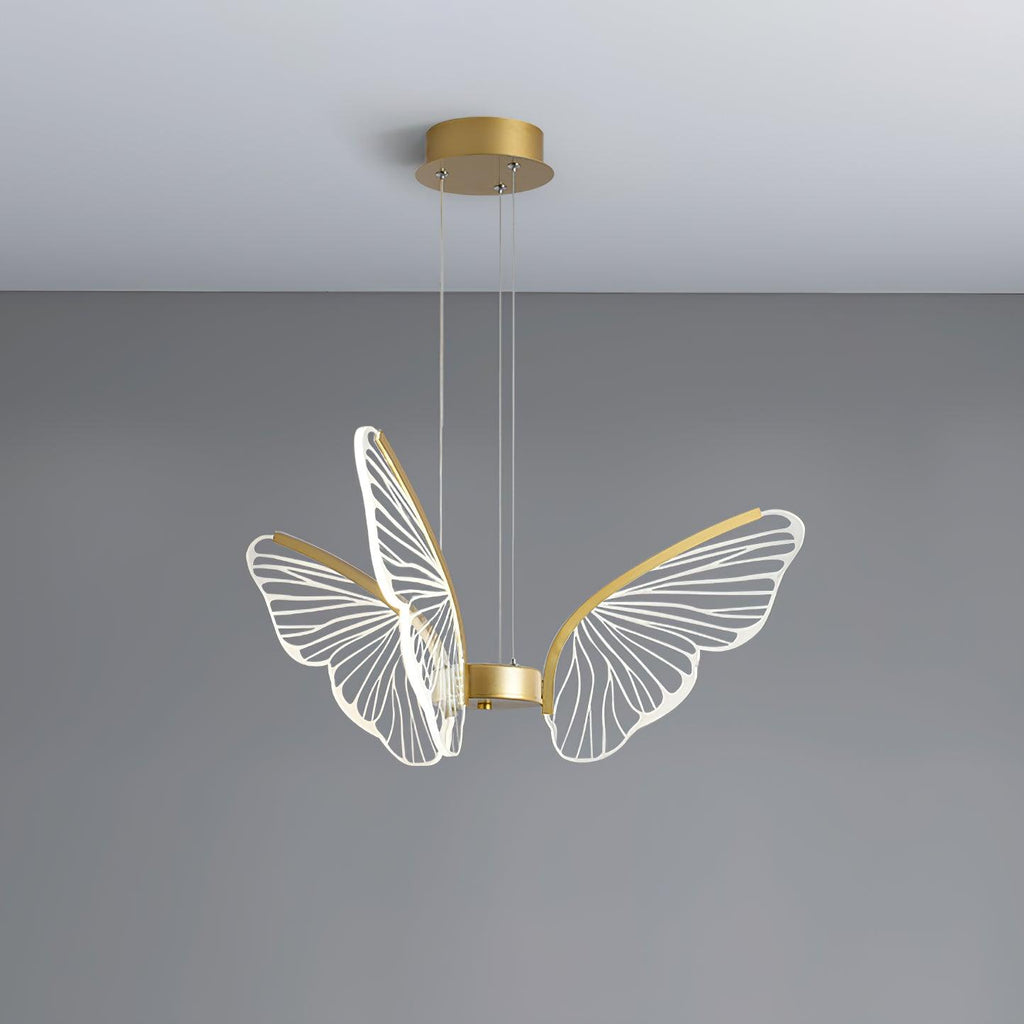 phalaenopsis-chandelier-anzaz--29