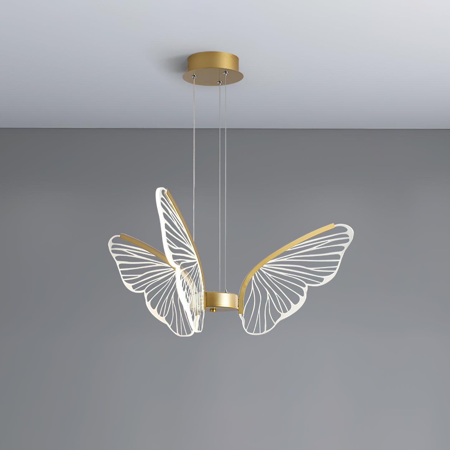 phalaenopsis-chandelier-anzaz--29