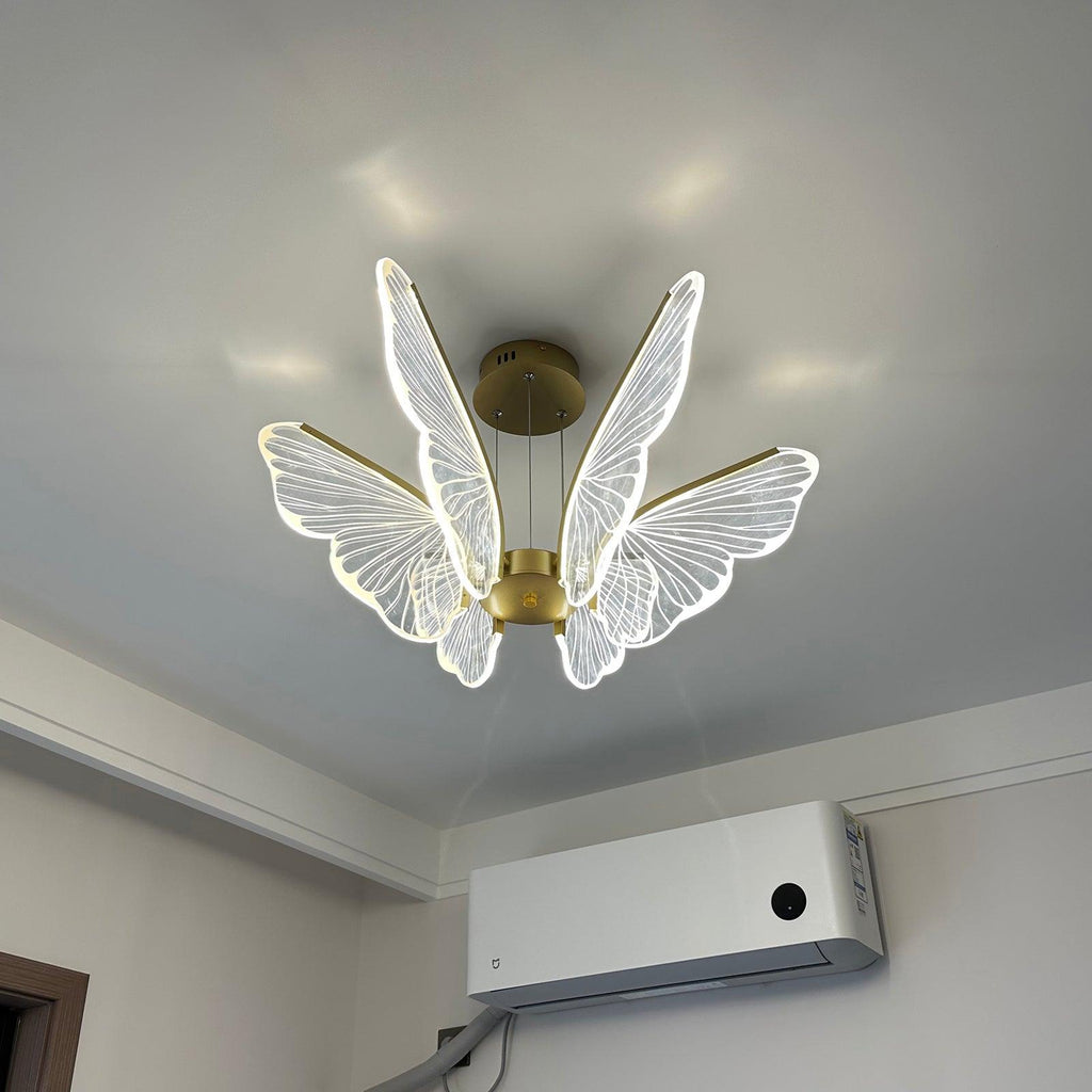 phalaenopsis-chandelier-anzaz--30