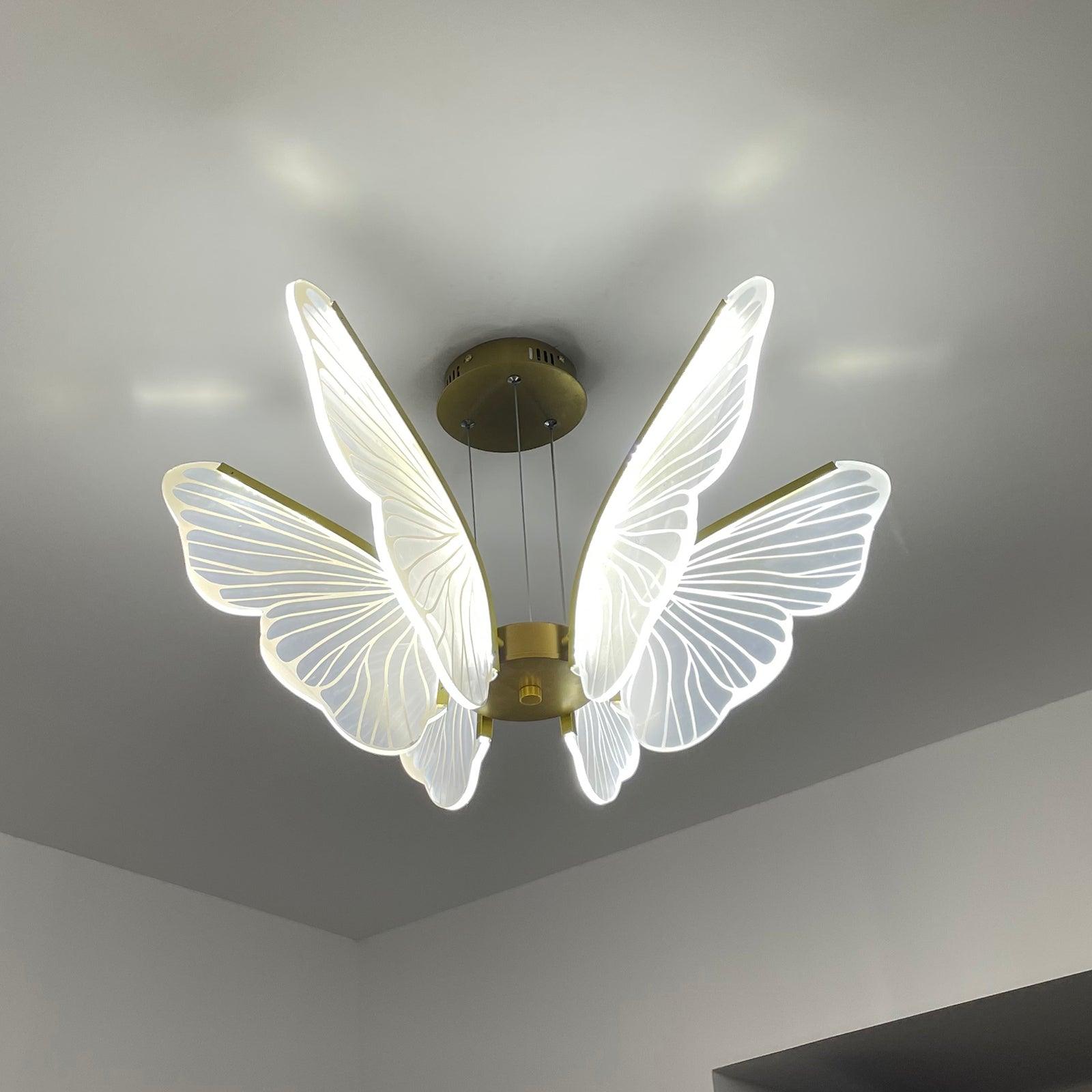 phalaenopsis-chandelier-anzaz--31