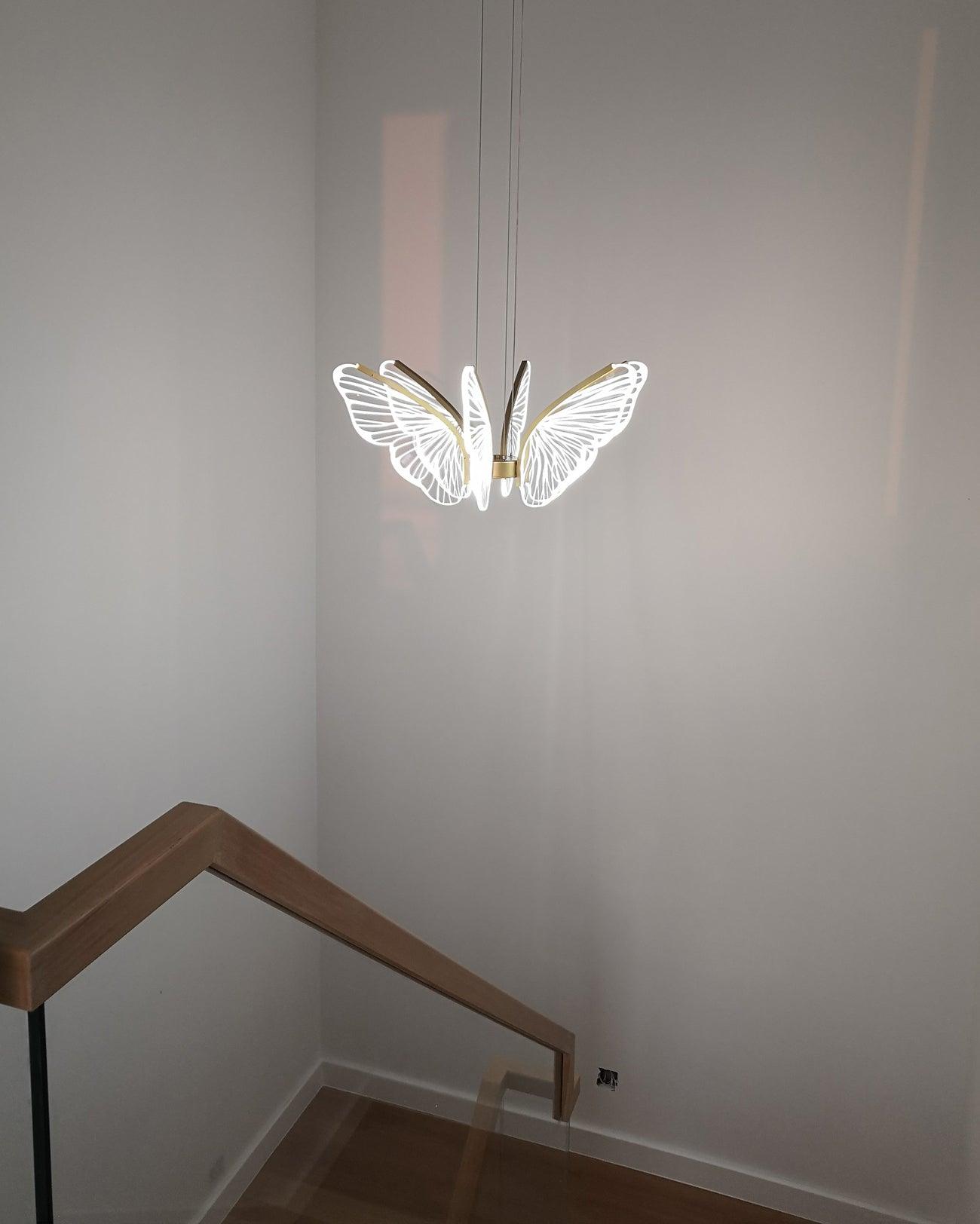 phalaenopsis-chandelier-anzaz--34