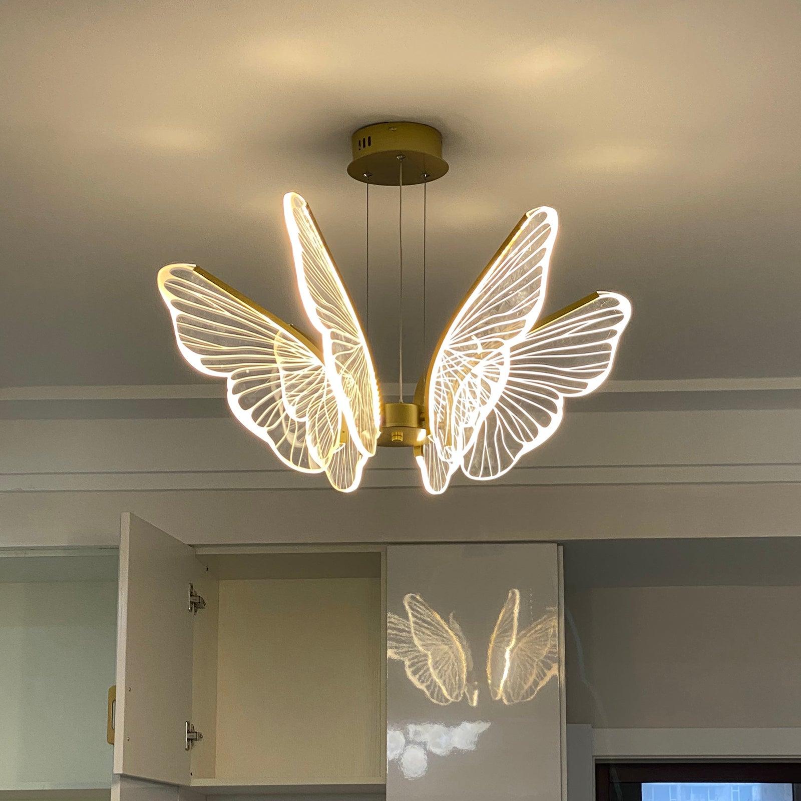 phalaenopsis-chandelier-anzaz--35