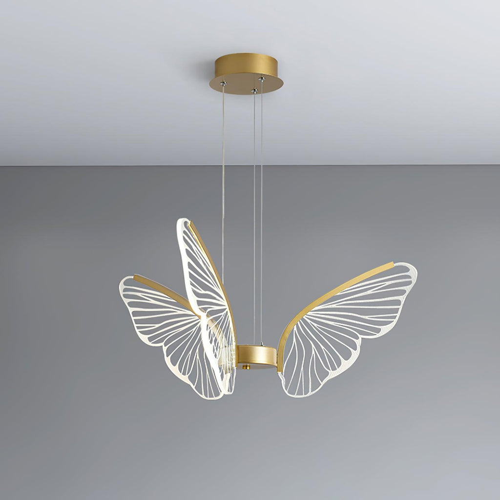 phalaenopsis-chandelier-anzaz--37