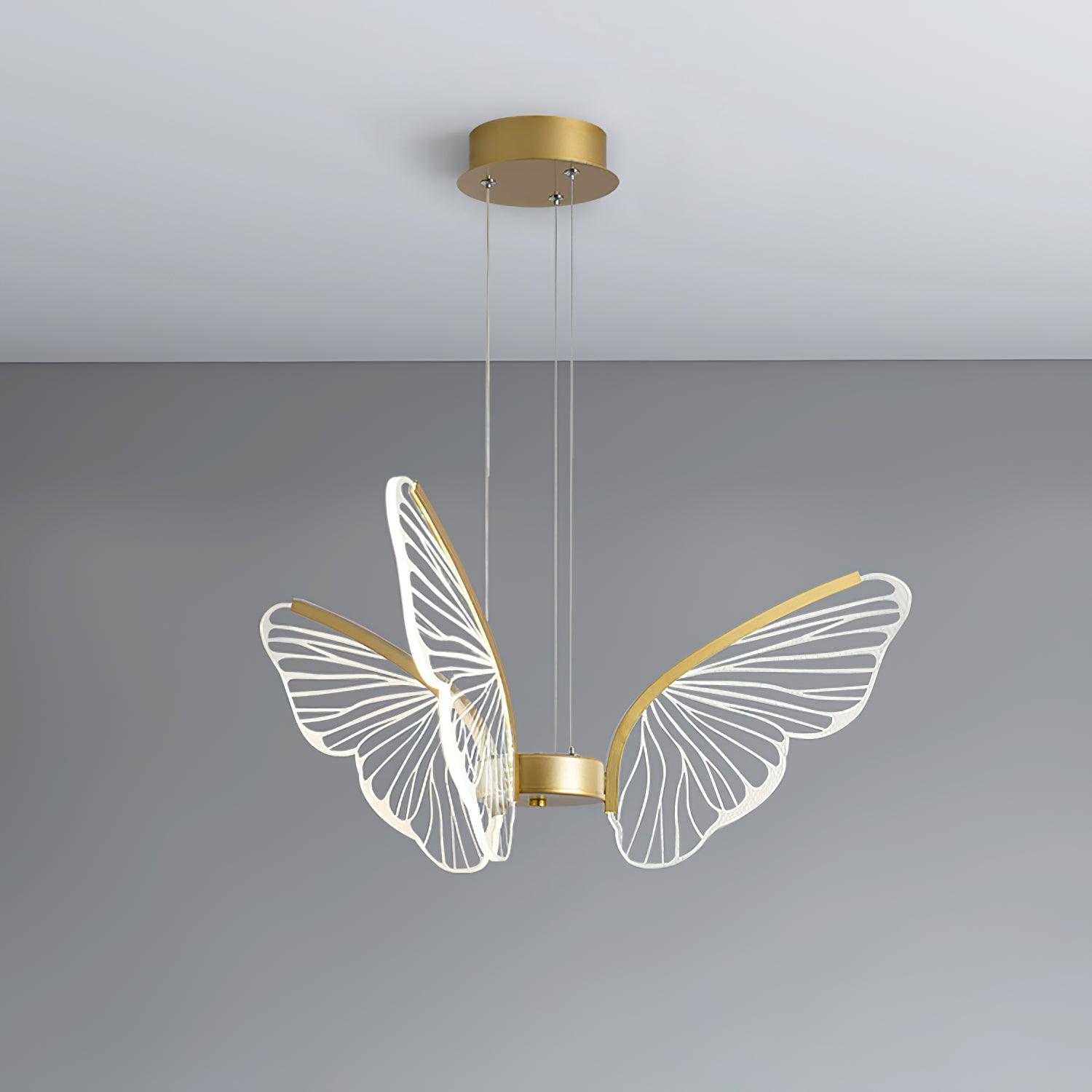 phalaenopsis-chandelier-anzaz--37