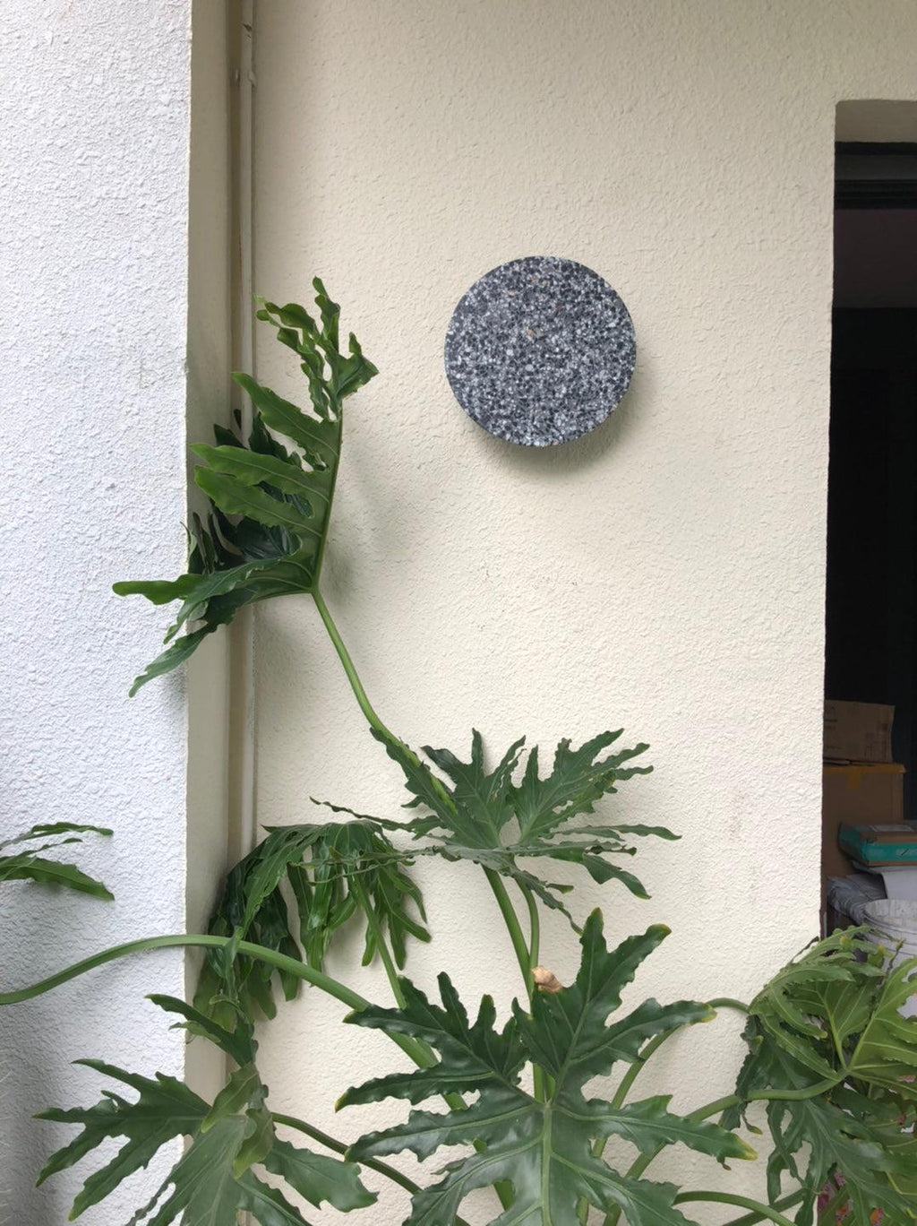 pin-wall-lamp-anzaz-Cement Grey-46