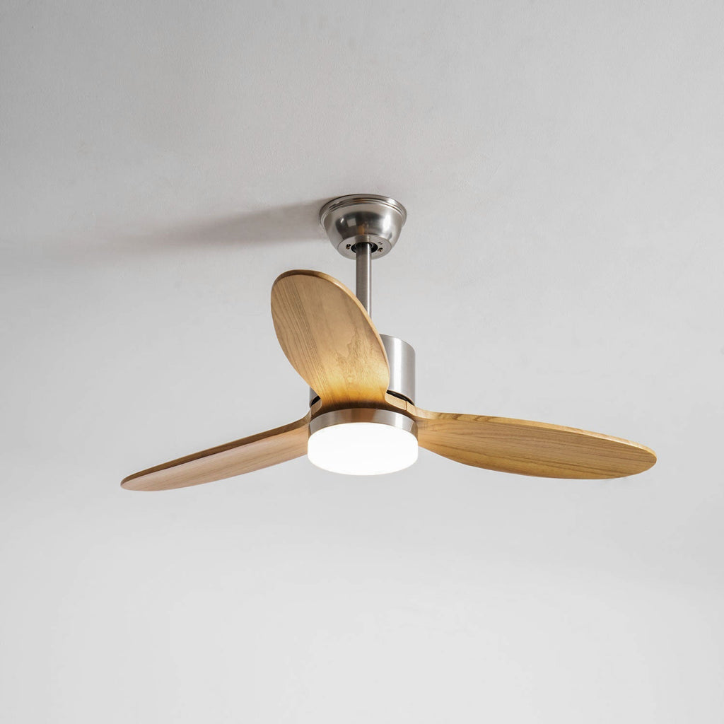 polaris-ceiling-fan-light-anzaz--13