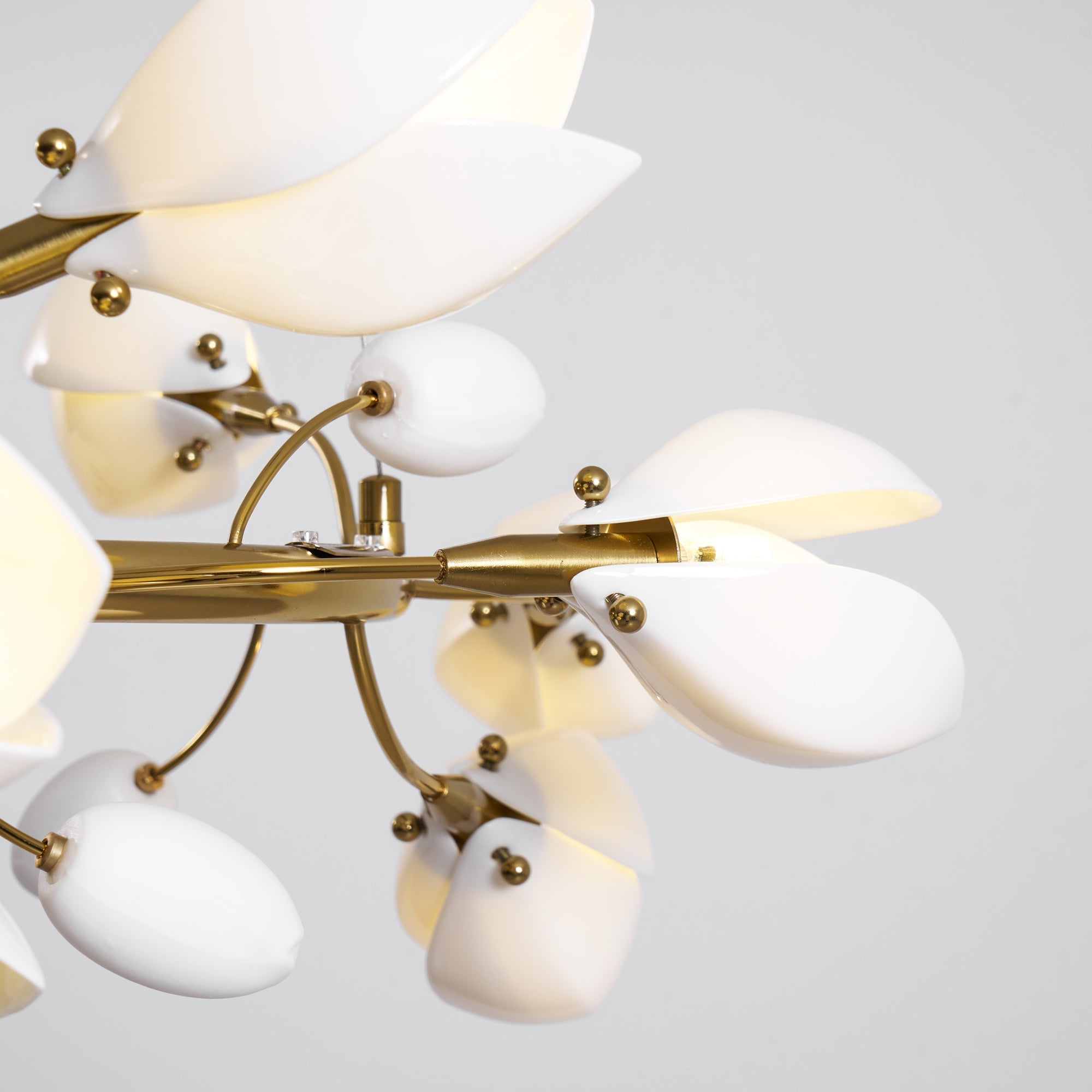 porcelain-magnolia-chandelier-anzaz--46