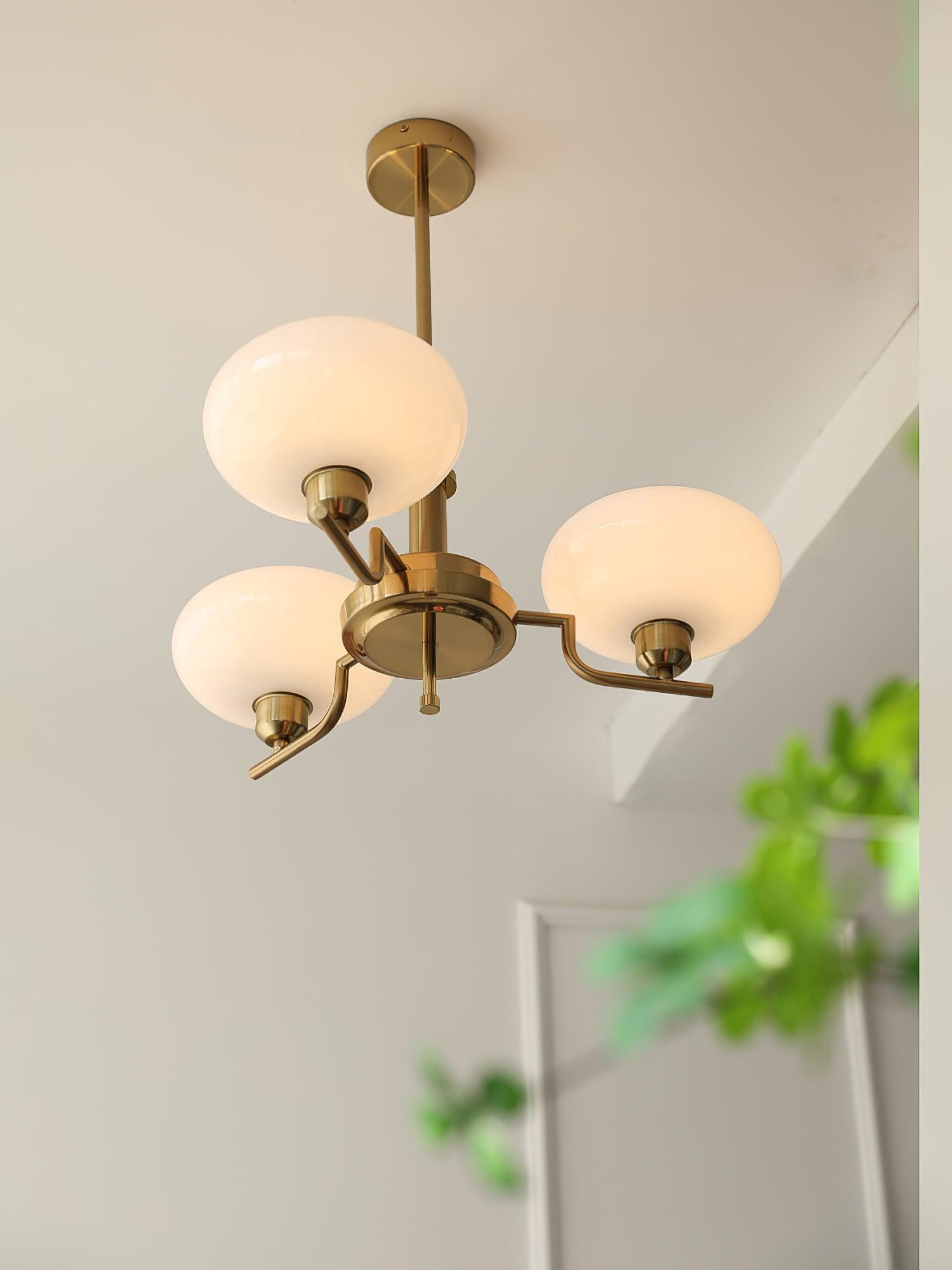 puja-chandelier-anzaz--15