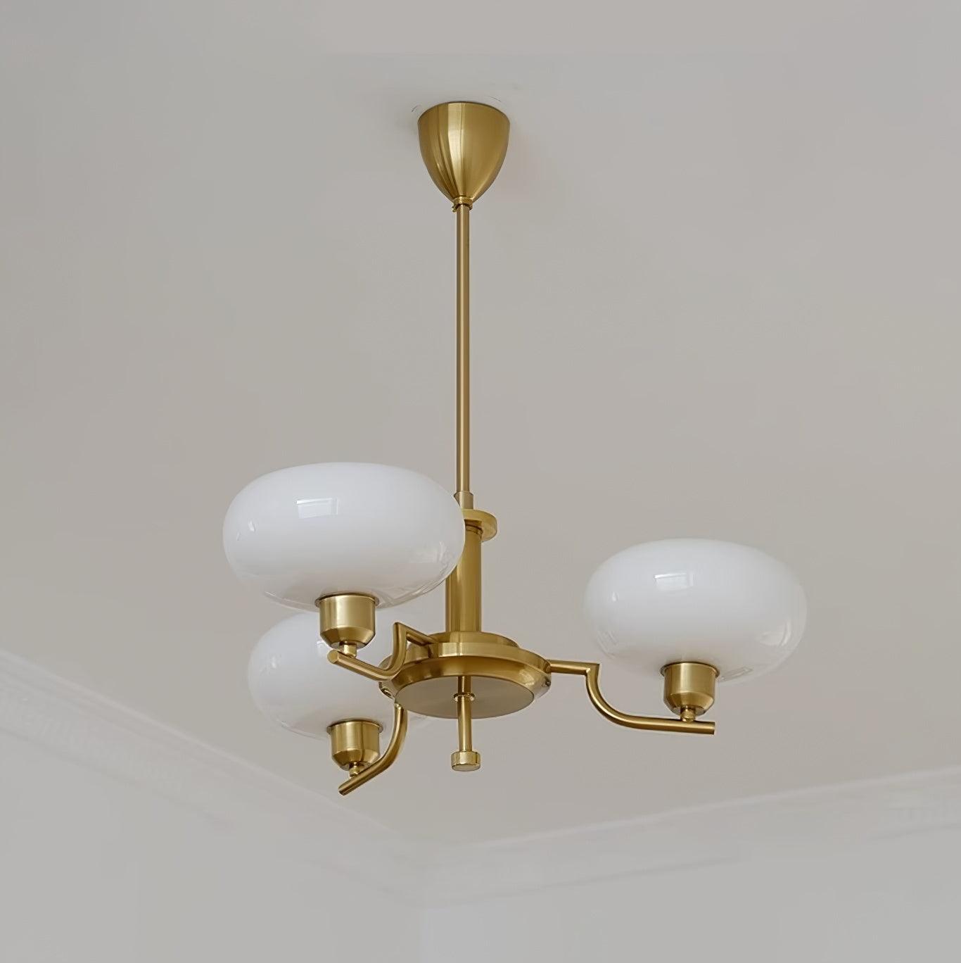puja-chandelier-anzaz--27
