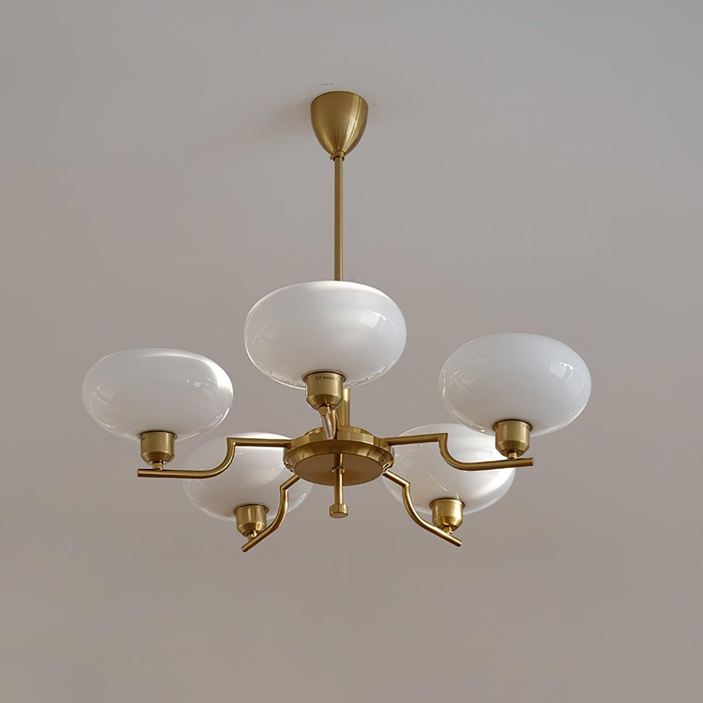 puja-chandelier-anzaz--28