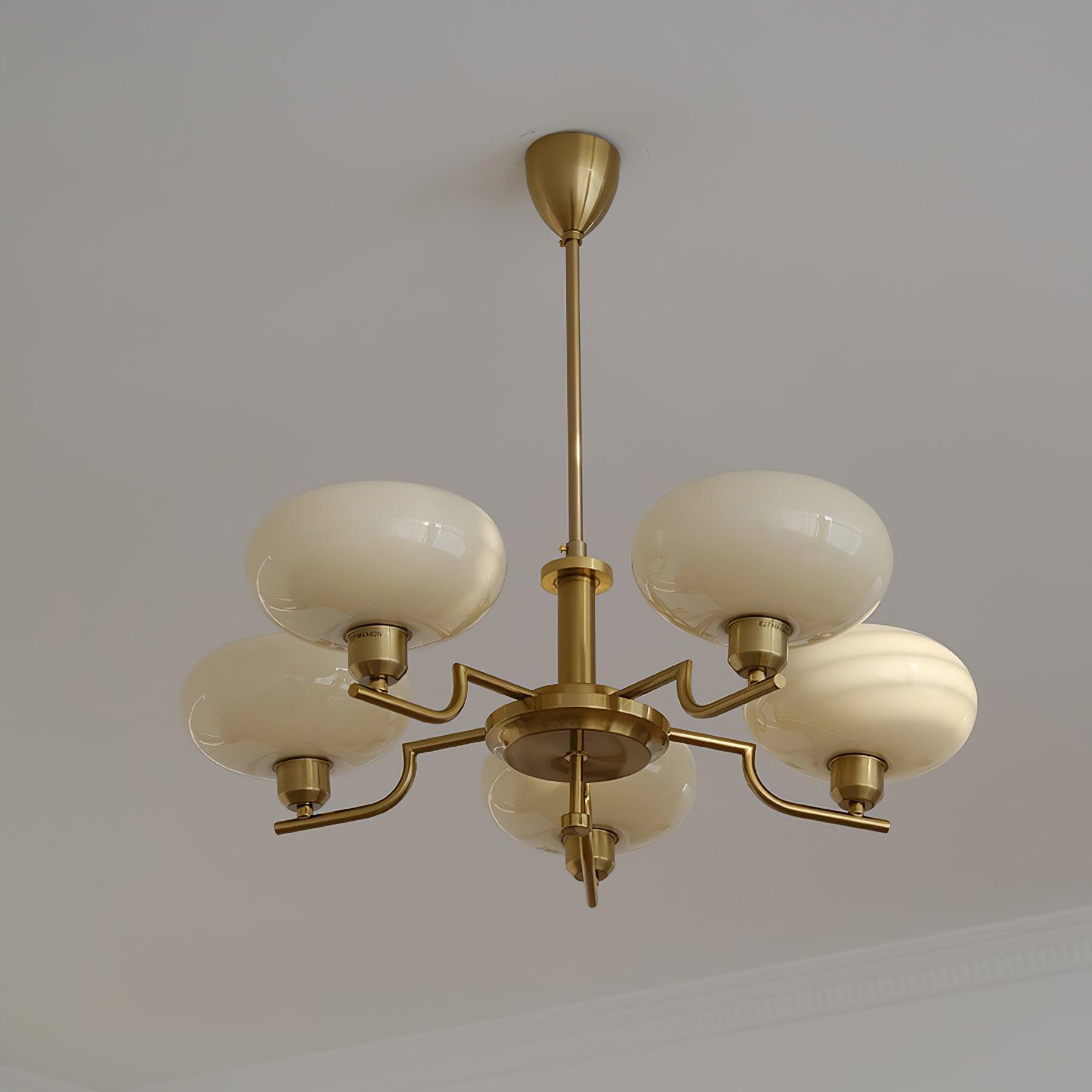 puja-chandelier-anzaz--29