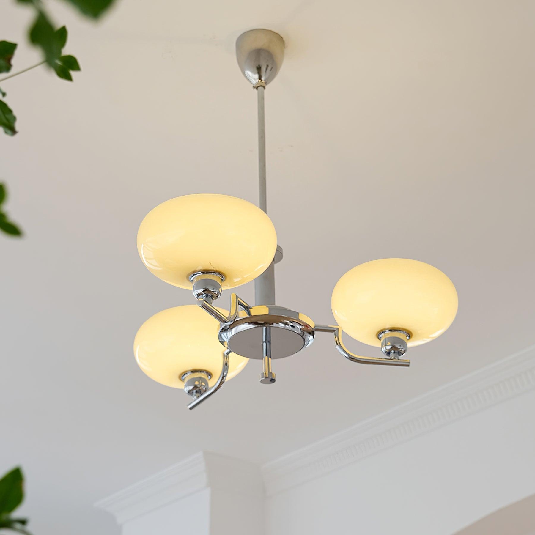 puja-chandelier-anzaz--34