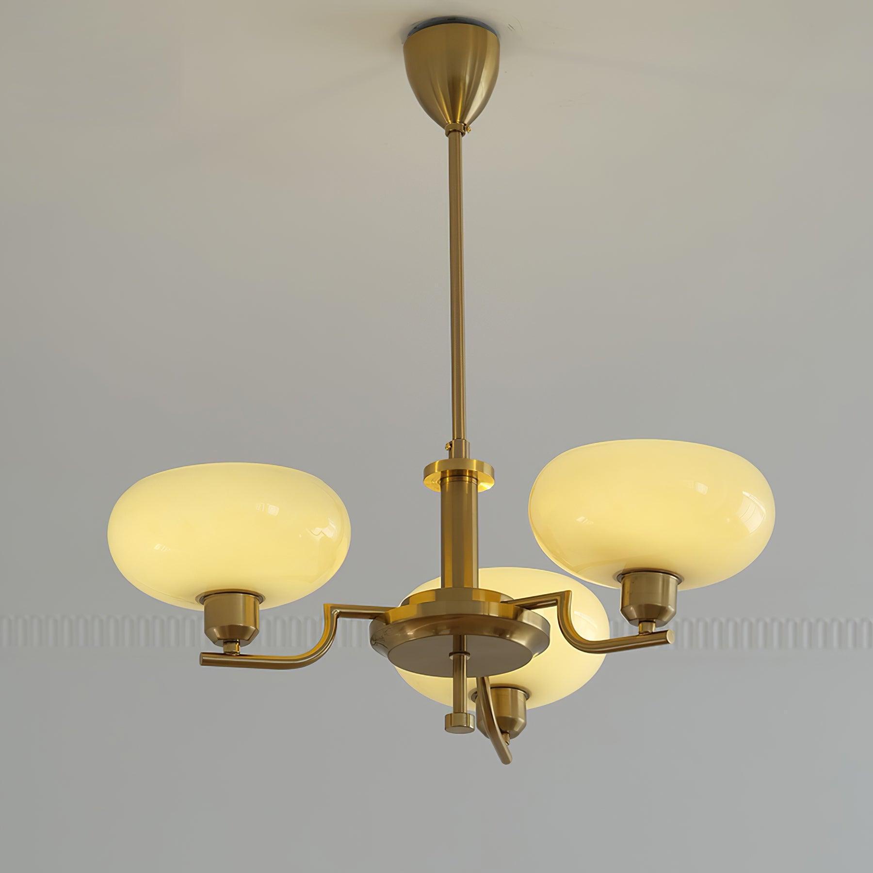 puja-chandelier-anzaz--37