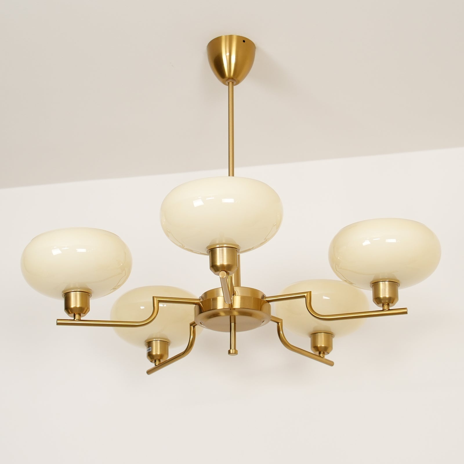 puja-chandelier-anzaz--43