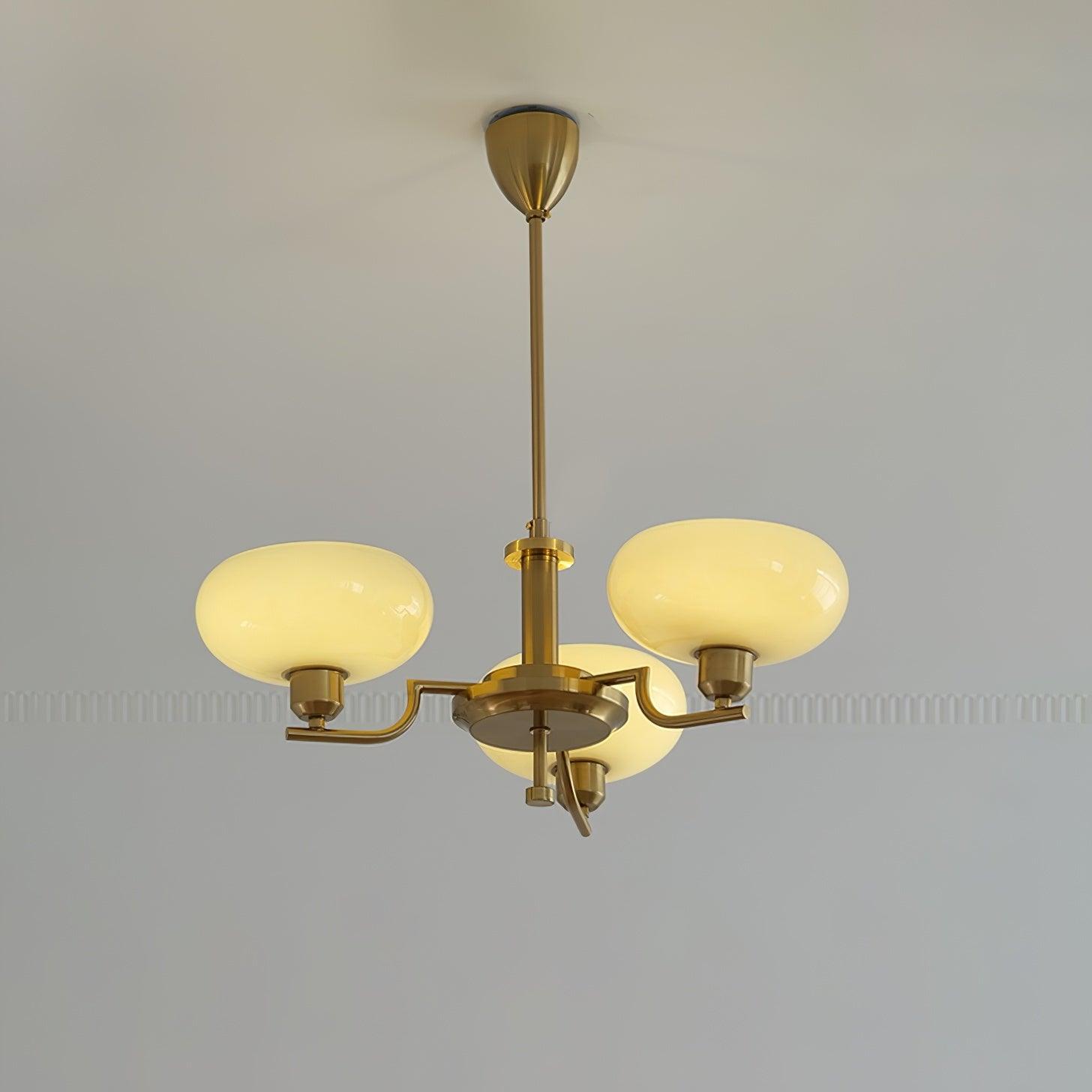 puja-chandelier-anzaz--35