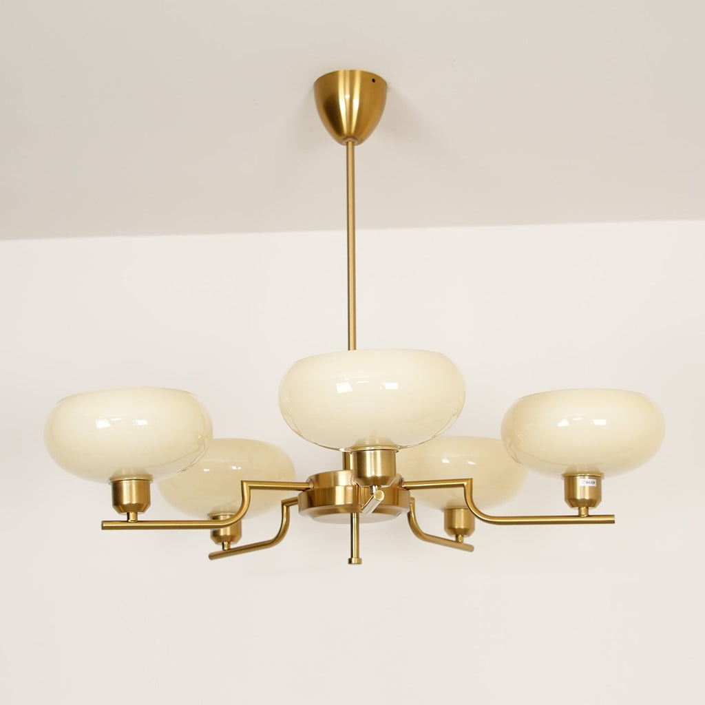 puja-chandelier-anzaz--47