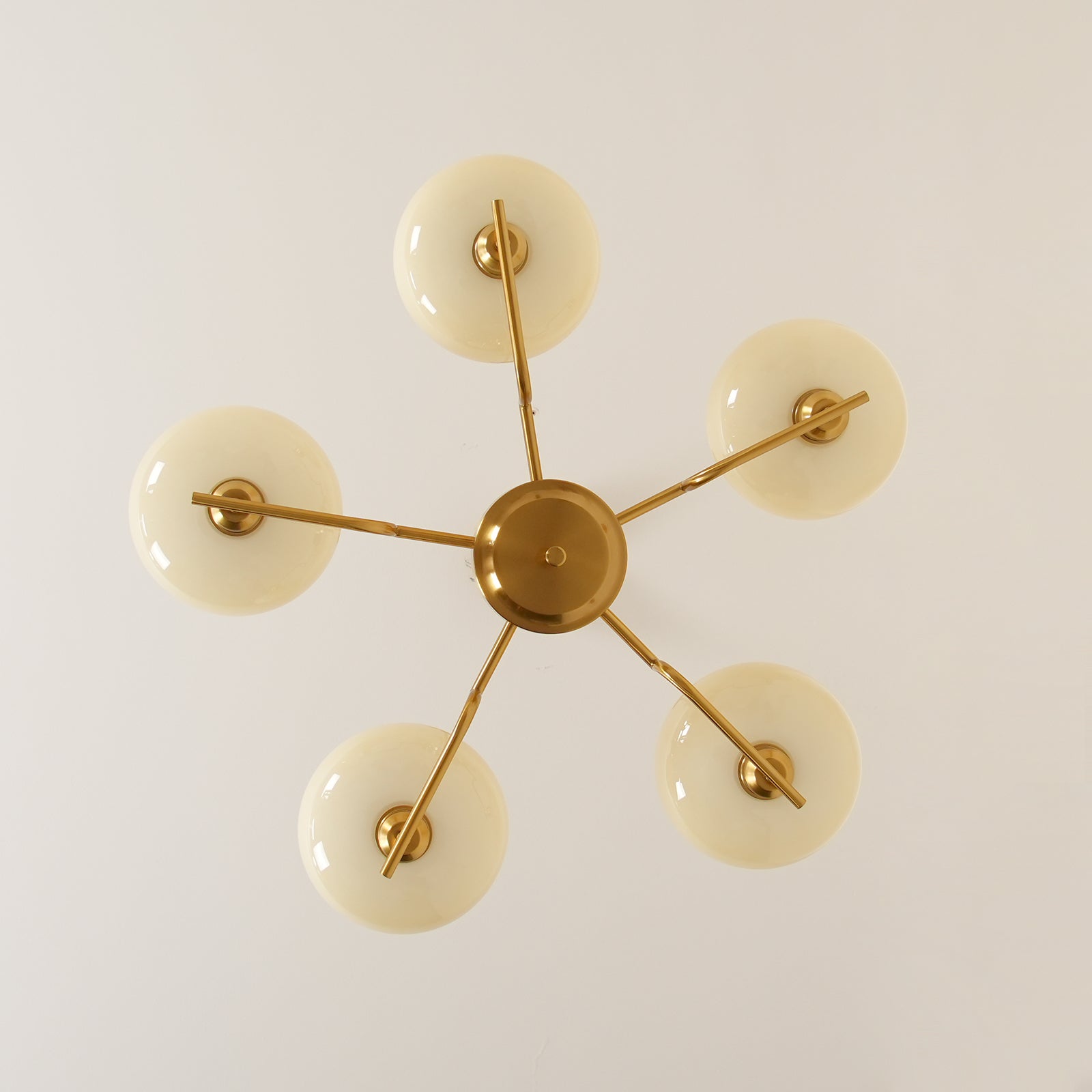 puja-chandelier-anzaz--48