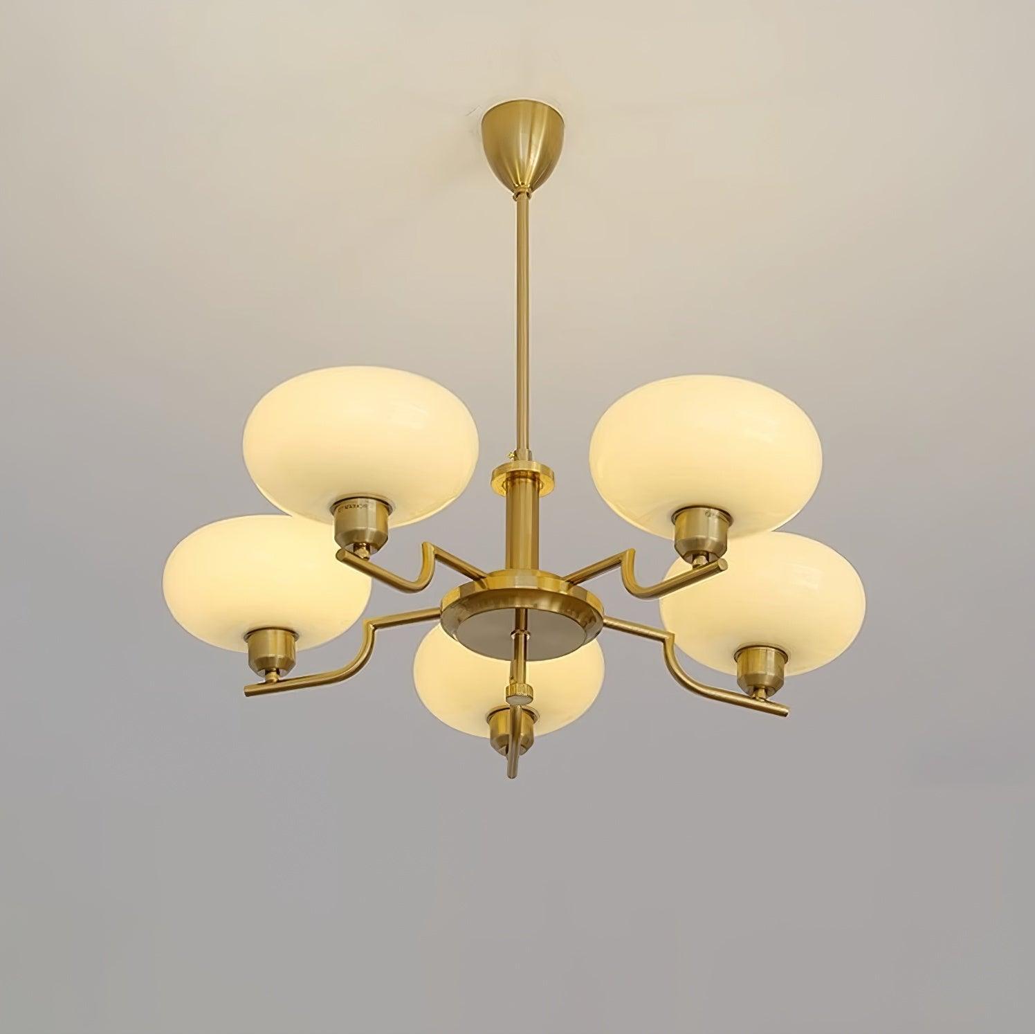 puja-chandelier-anzaz--54