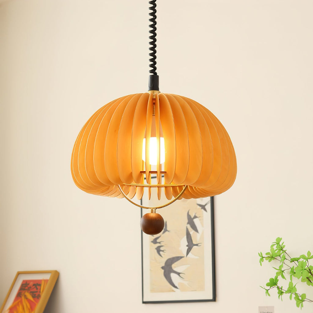 pumpkin-adjustable-pendant-light-anzaz--4
