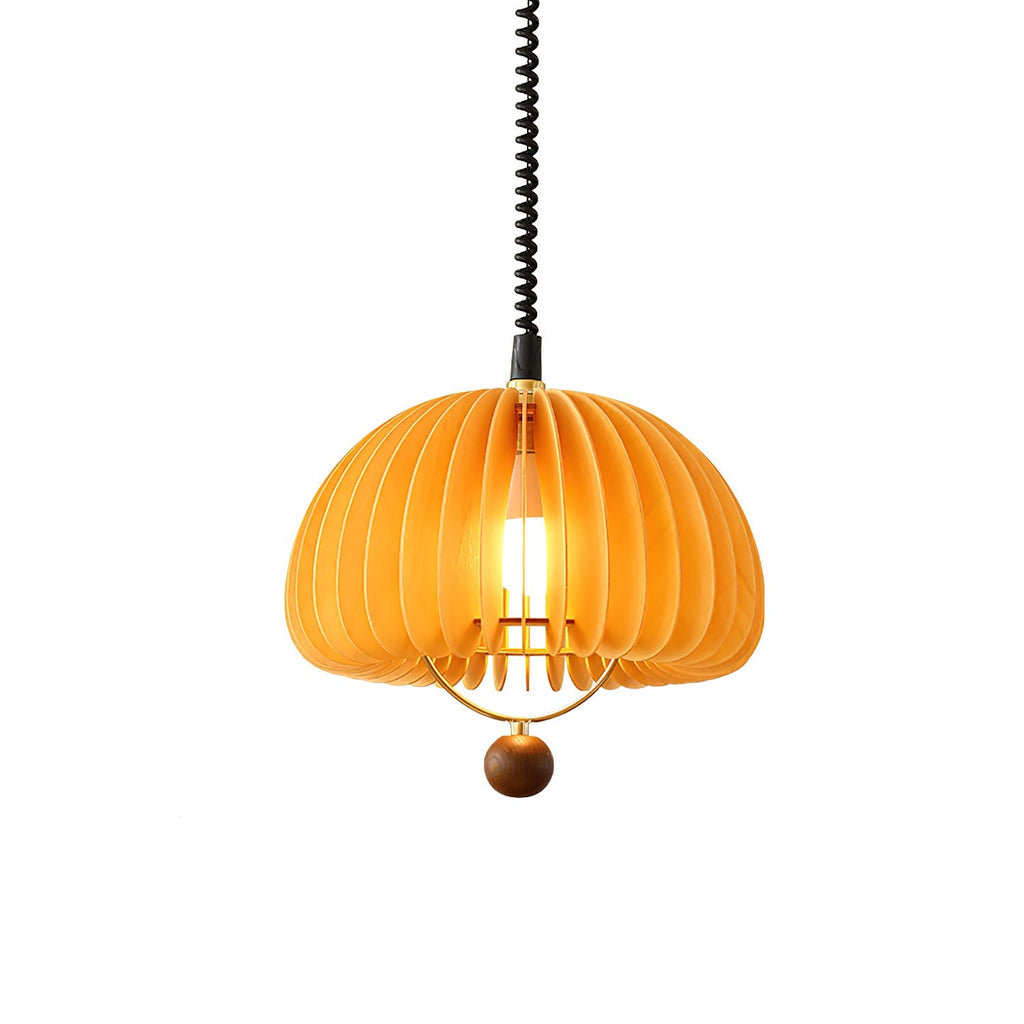 pumpkin-adjustable-pendant-light-anzaz--9