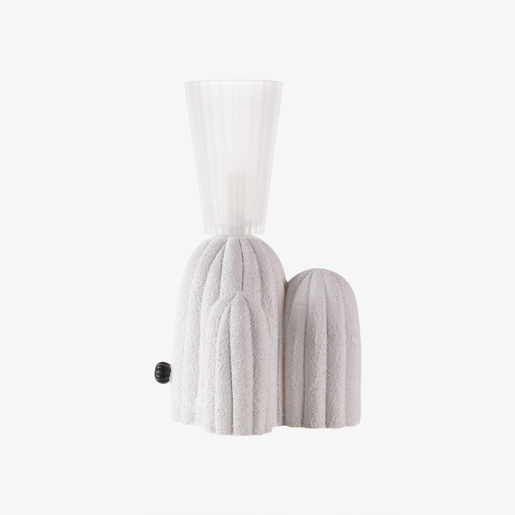 rbs-cactus-lamp-anzaz--17