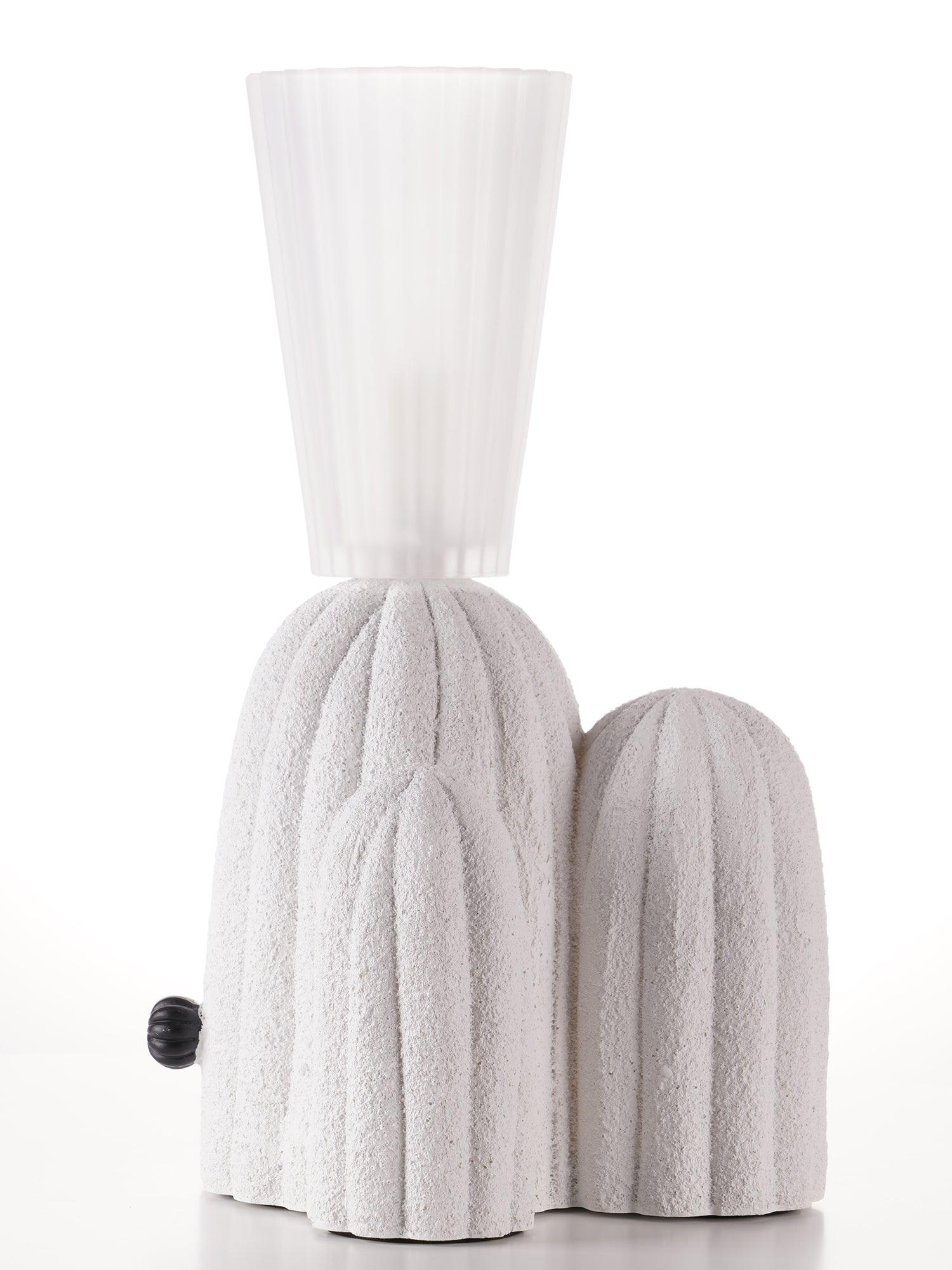 rbs-cactus-lamp-anzaz--30