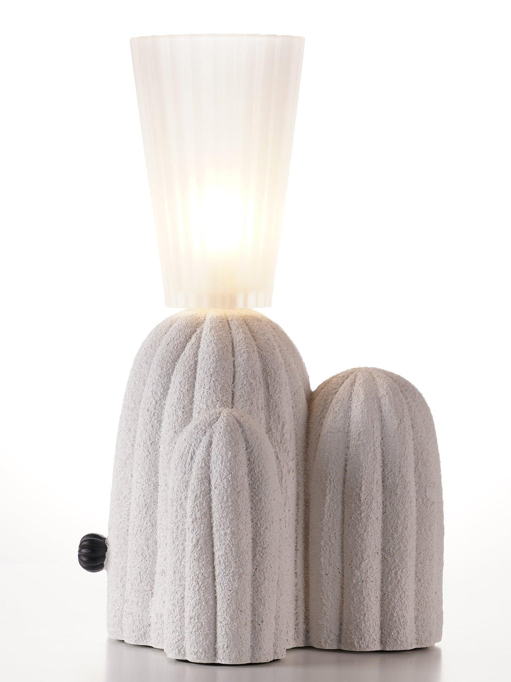 rbs-cactus-lamp-anzaz--29