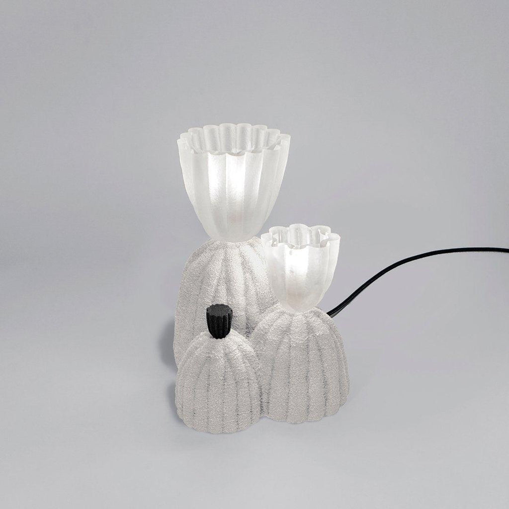 rbs-cactus-lamp-anzaz--20