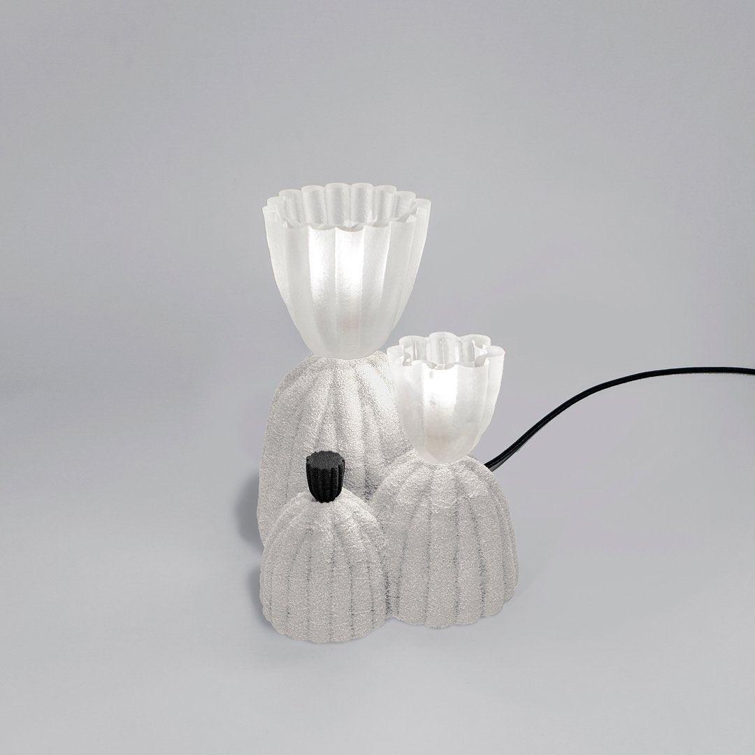 rbs-cactus-lamp-anzaz--20