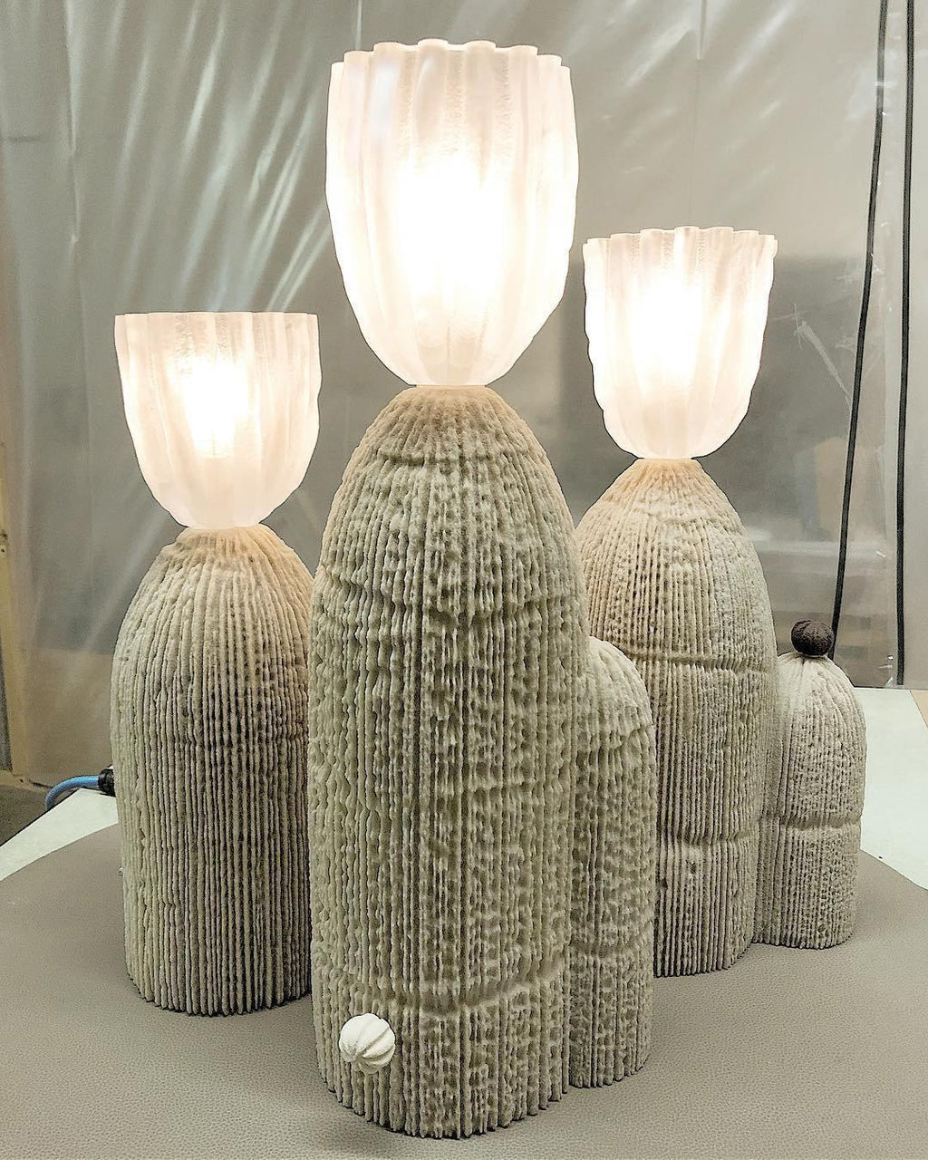 rbs-cactus-lamp-anzaz--38