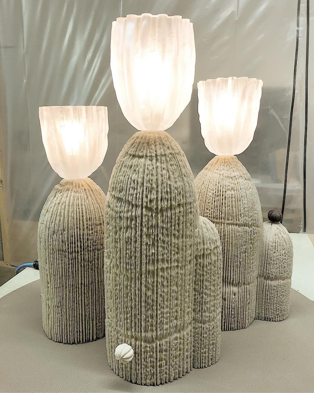 rbs-cactus-lamp-anzaz--38