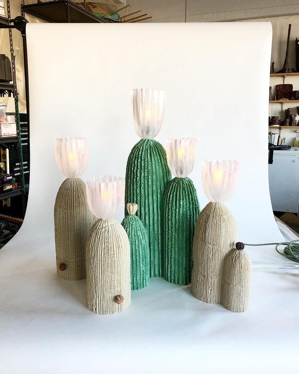 rbs-cactus-lamp-anzaz--23