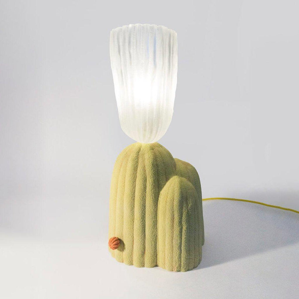 rbs-cactus-lamp-anzaz--16