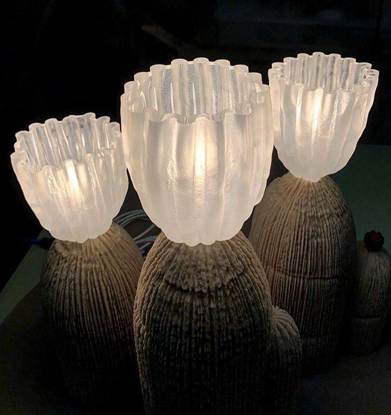 rbs-cactus-lamp-anzaz--26