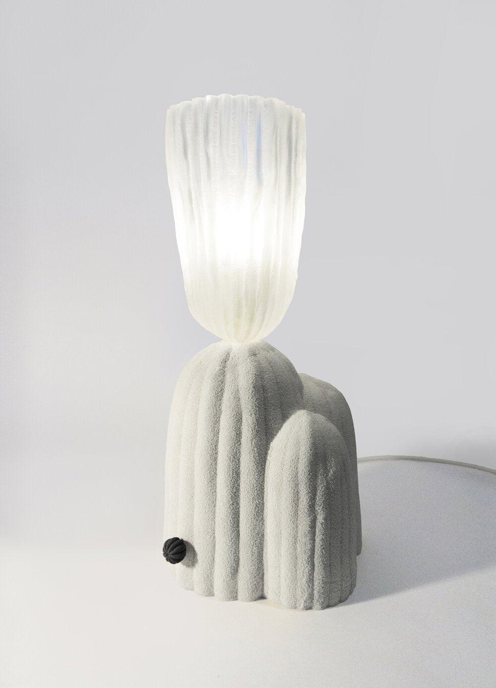 rbs-cactus-lamp-anzaz--24