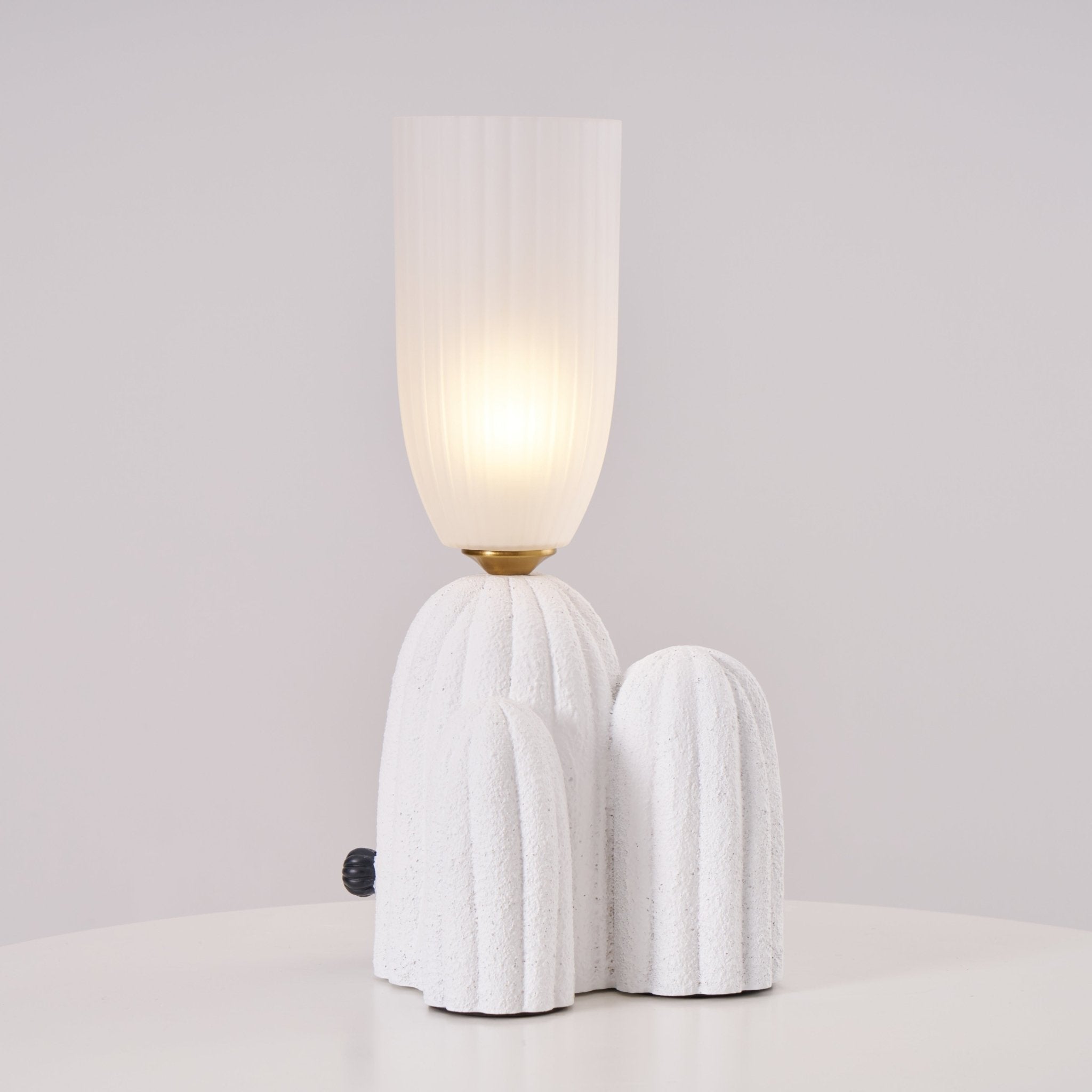 rbs-cactus-lamp-anzaz--40