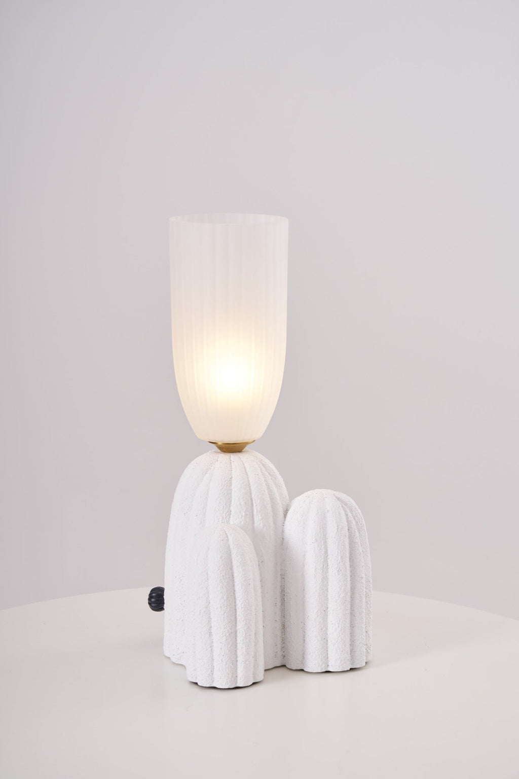 rbs-cactus-lamp-anzaz--13