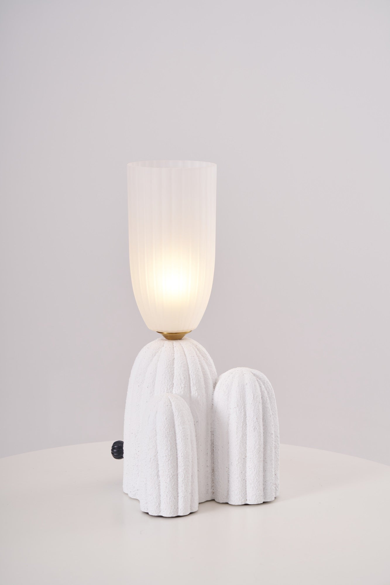 rbs-cactus-lamp-anzaz--13