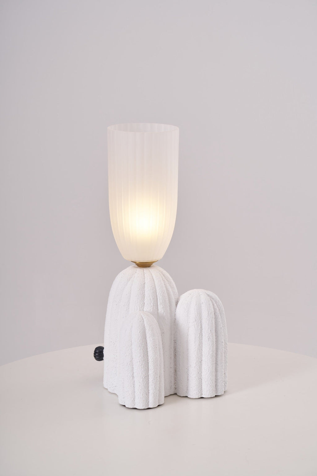 rbs-cactus-lamp-anzaz--10