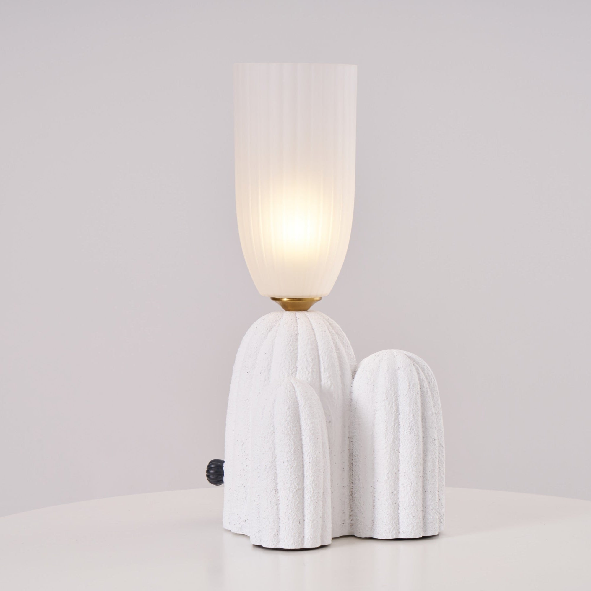 rbs-cactus-lamp-anzaz--9