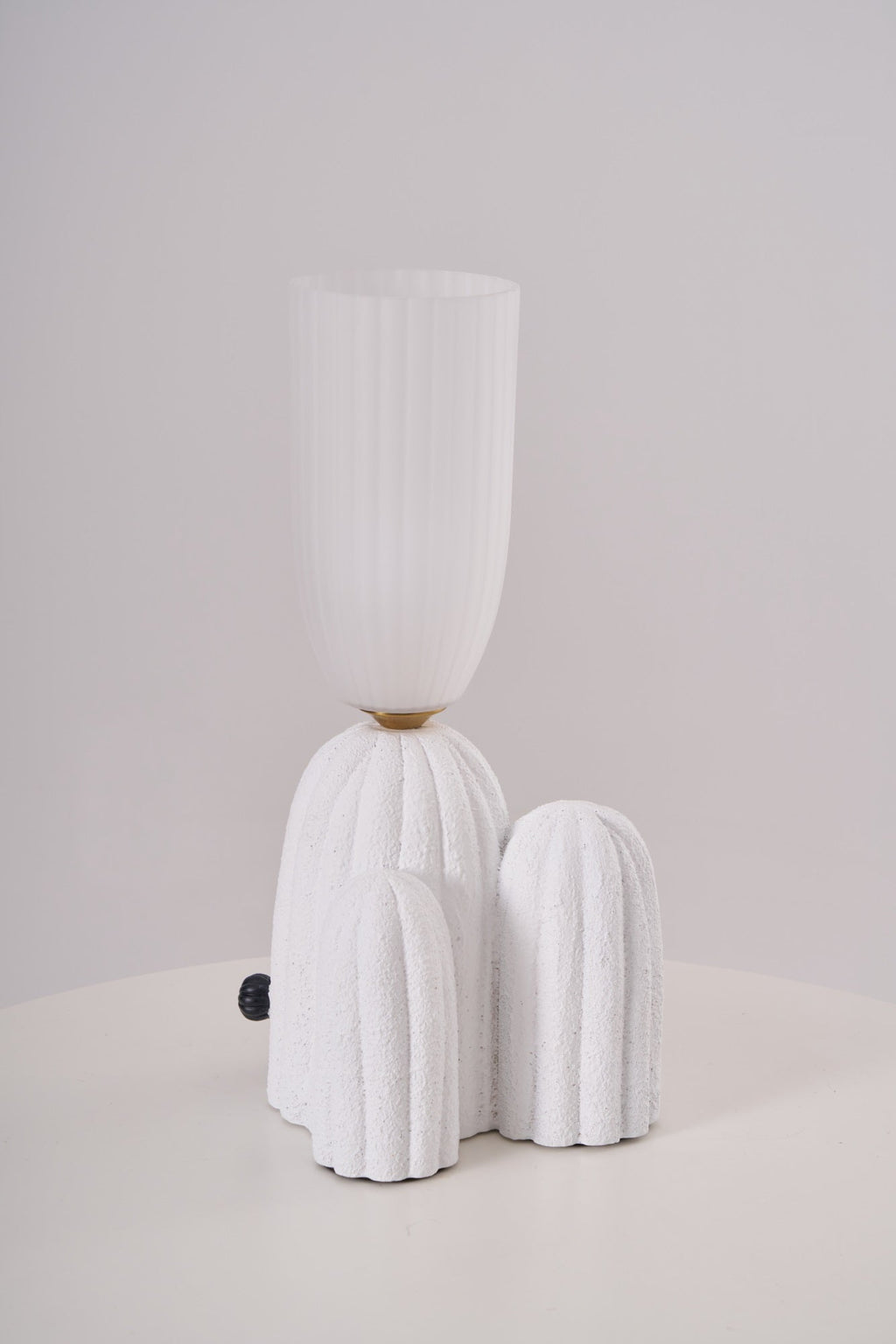 rbs-cactus-lamp-anzaz--43