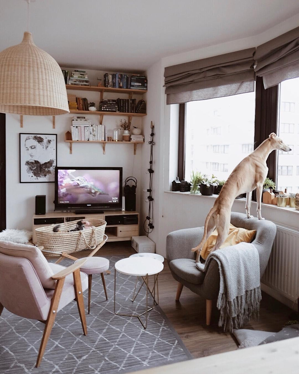 rattan-pandent-light-anzaz--29